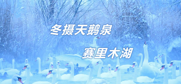 【新点光影】冬季新疆摄影天鹅泉赛里木湖8天团