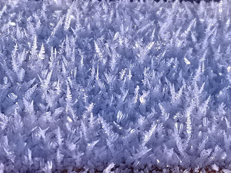 冬季赛里木湖冰花图片