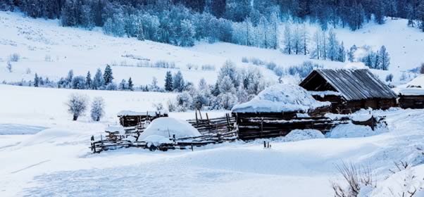冬季新疆北疆冰雪风情摄影游9天行程